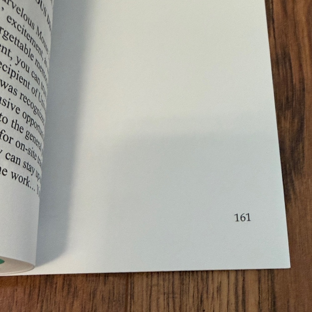 Epic Universe Guidebook - Picture 3 of 3
